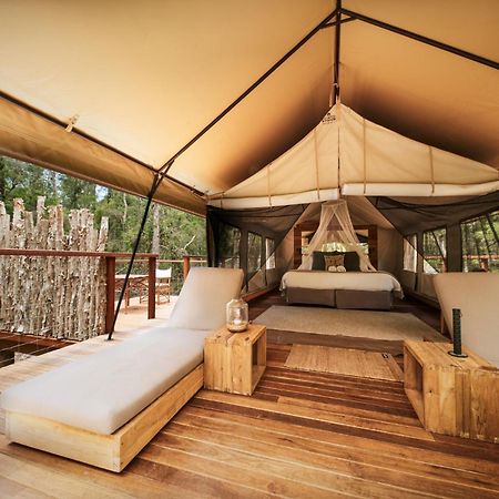 Paperbark Camp Ξενοδοχείο Woollamia Εξωτερικό φωτογραφία