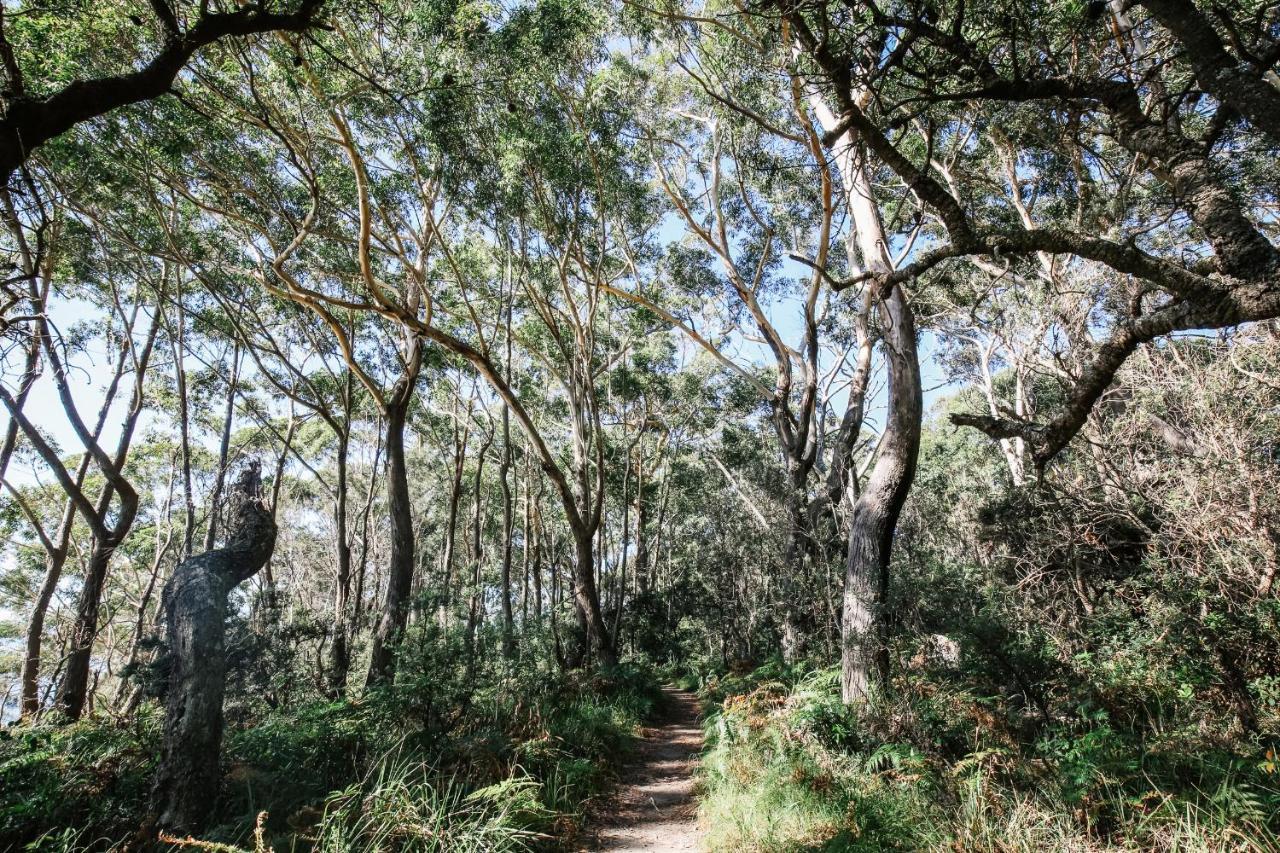 Paperbark Camp Ξενοδοχείο Woollamia Εξωτερικό φωτογραφία