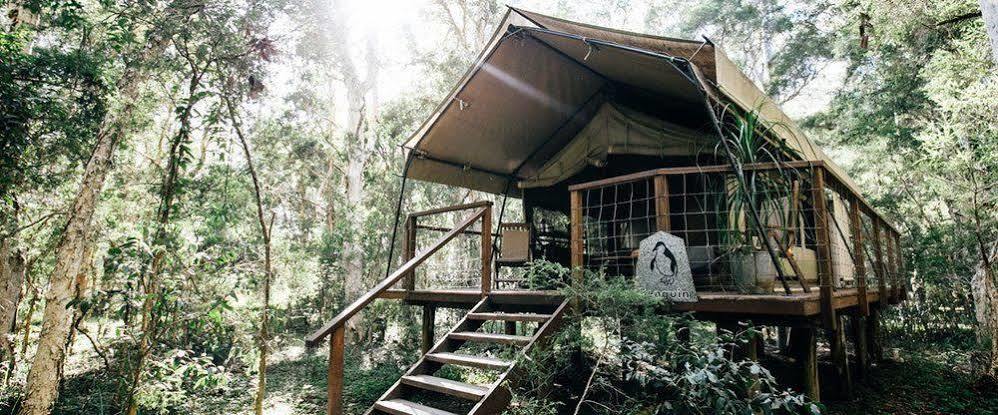 Paperbark Camp Ξενοδοχείο Woollamia Εξωτερικό φωτογραφία